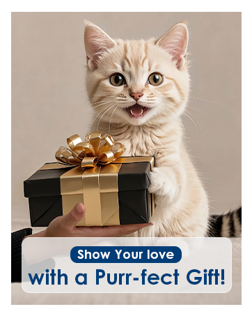 cat water fountain with motion sensor