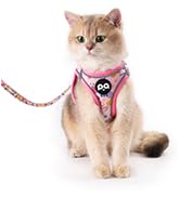 pink floral cat harness