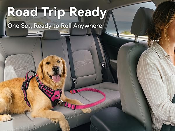 dog car harness