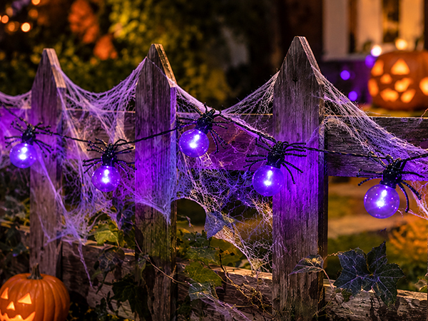 Halloween Spider String Lights