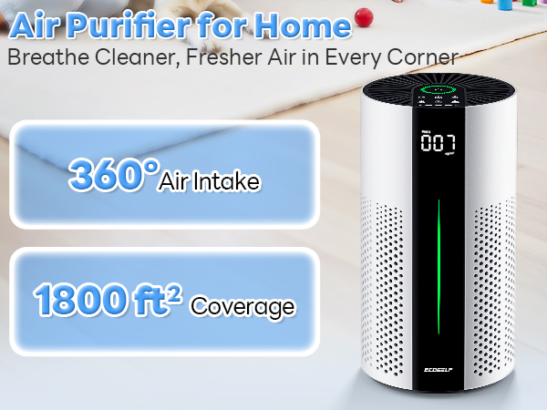 Air Purifiers for Home