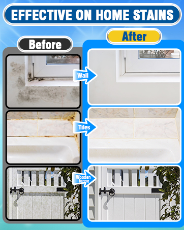 mold stain cleaner