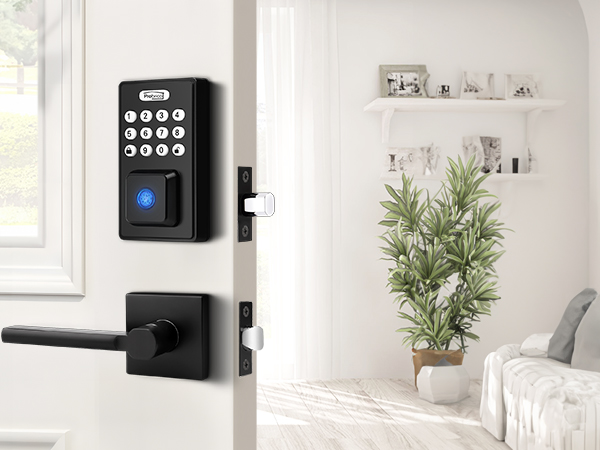 black smart door handle