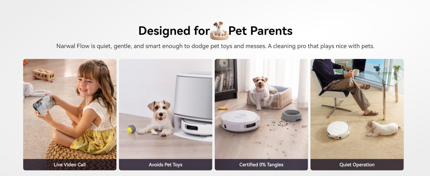 Voice Assistant
