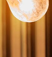 pretty toilet brush toilet bowl brush holder cute toilet brush gold bathroom accessories toiletbrush