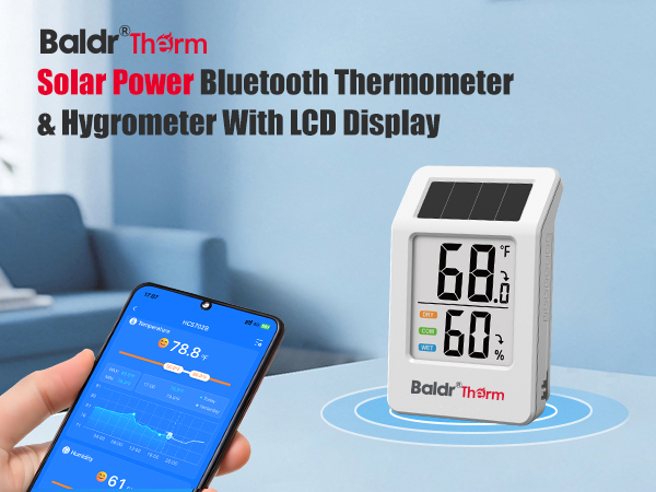 Bluetooth Thermometer