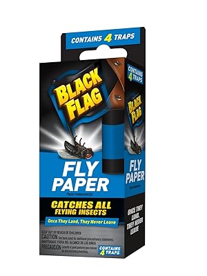 fly paper