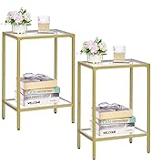 HOMSHO Side Tables Set of 2, End Tables with Tempered Glass, 2-Tier Nightstands with Storage Shel...