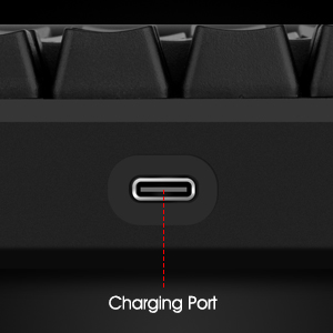 Type-C Charging Port