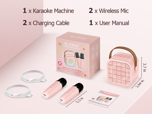 6 year old girl birthday gift