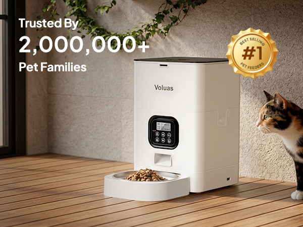 Automatic Cat Feeders