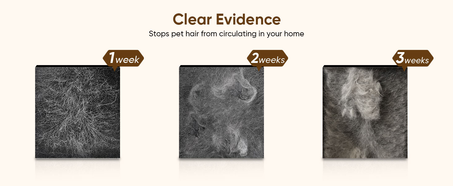 pet hair air purifier