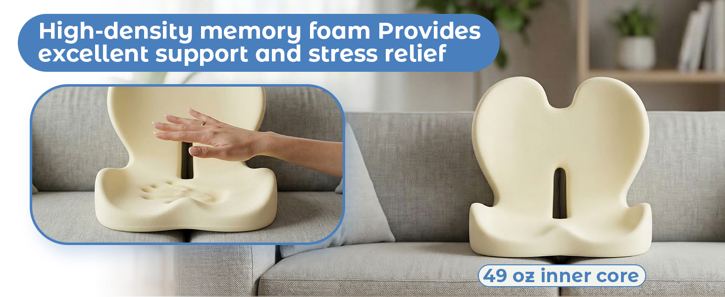 seat cushion with lumbar support back support cushion