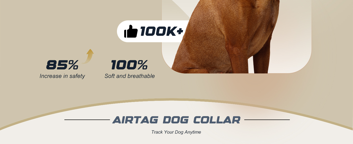airtag collar dog