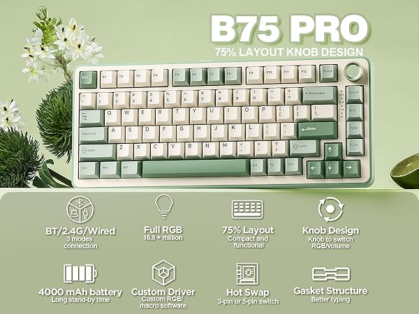 b75 pro