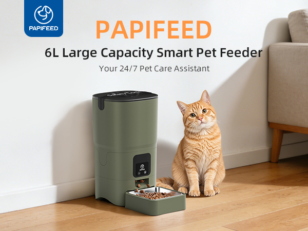Automatic Cat Feeder