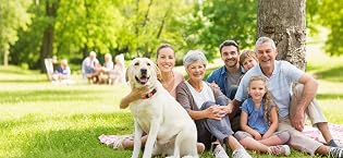 https://m.media-amazon.com/images/S/aplus-media-library-service-media/0003ddef-cabd-49ff-9ee1-0ec4931c22d5.__CR0,147,1920,884_PT0_SX315_V1___.png