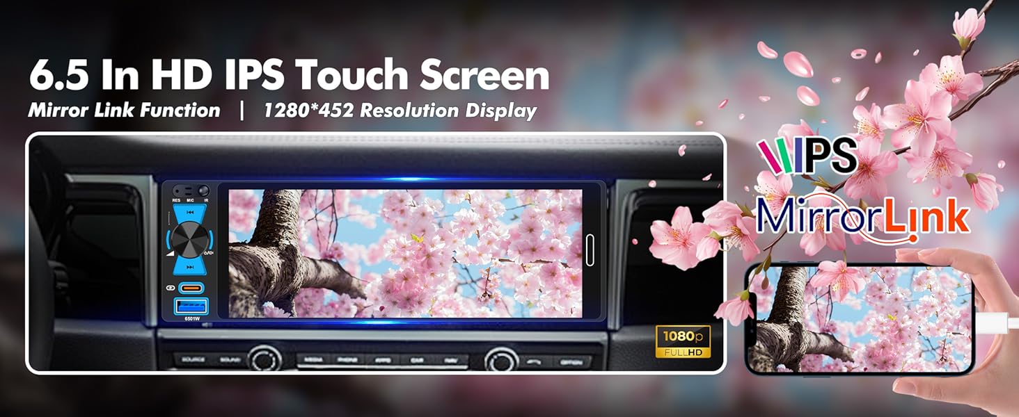 IPS Touch Screen