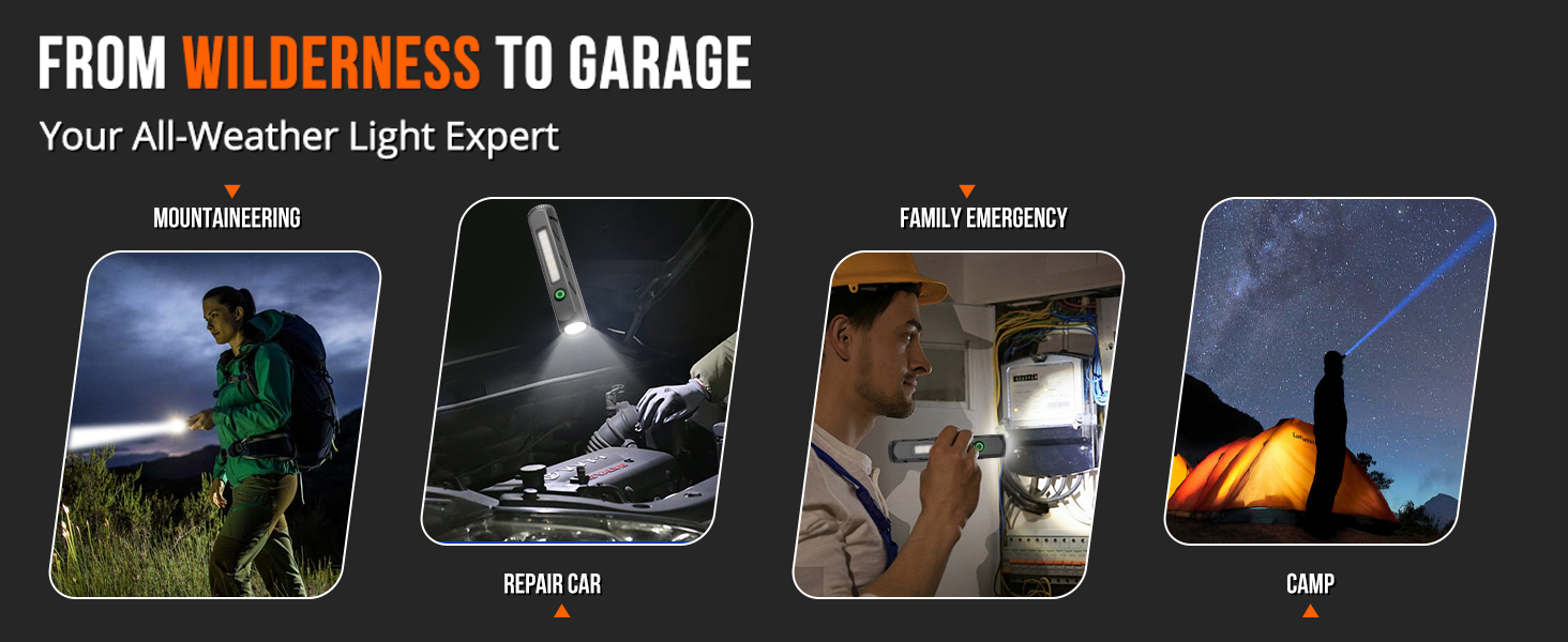 FROM WILDERNESS TO GARAGE