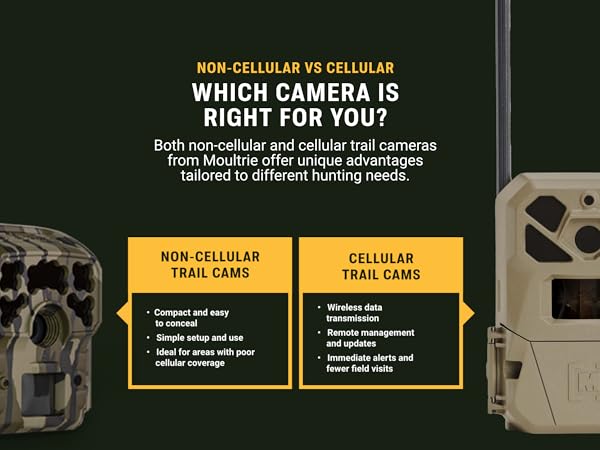 Which camera is right for you?