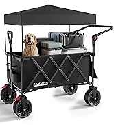 Wagon with Canopy