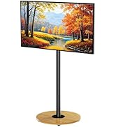 Floor TV Stand