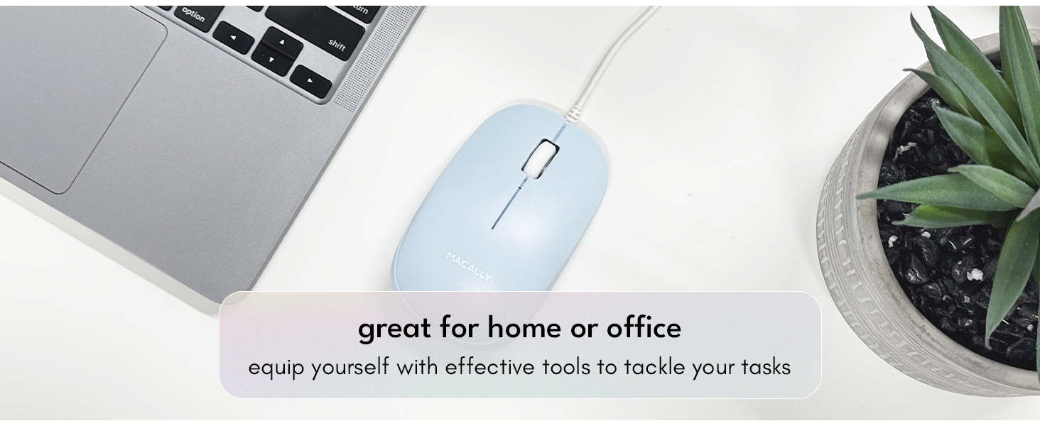 mouse