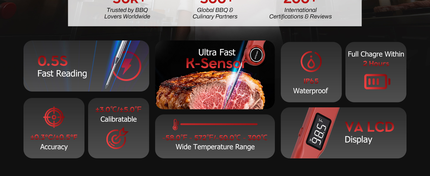 meat thermometer digital