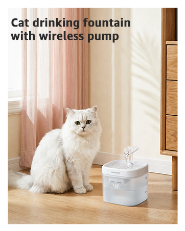 small cat water fountain