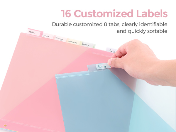 binder divider with tabs