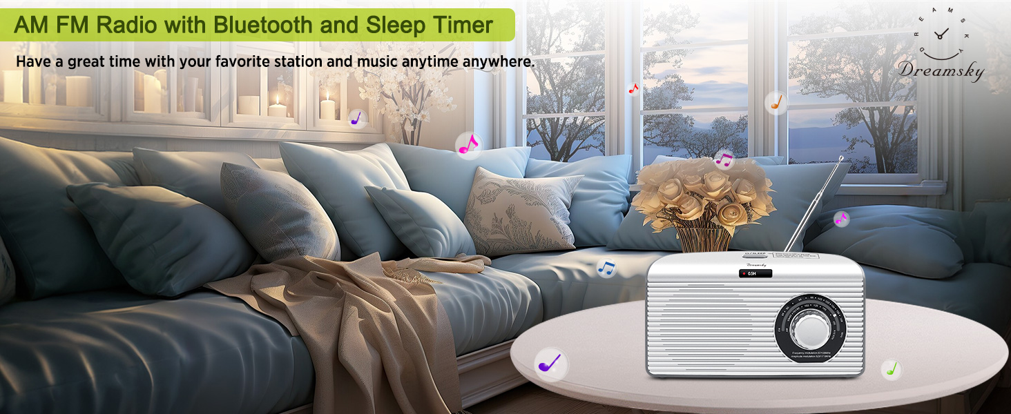 Dreamsky AM FM Radio with Bluetooth and Sleep Timer