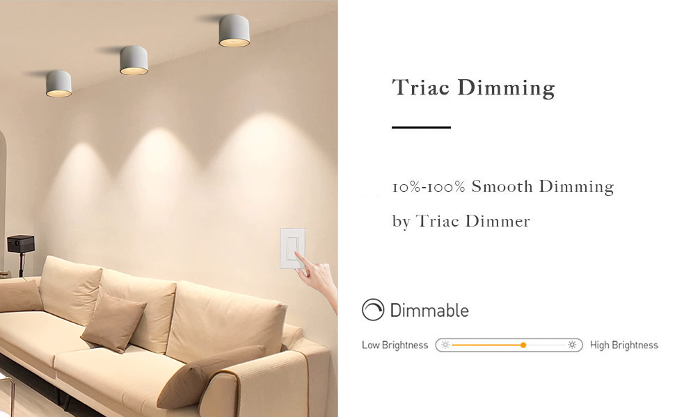 10%-100% Smooth Dimming by Triac Dimmer
