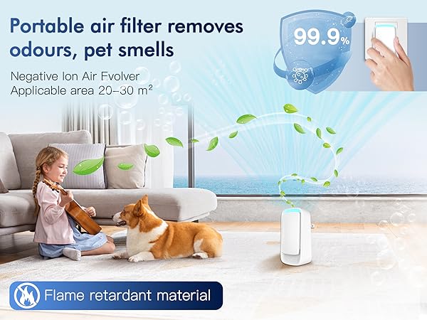 Portable Air Filter