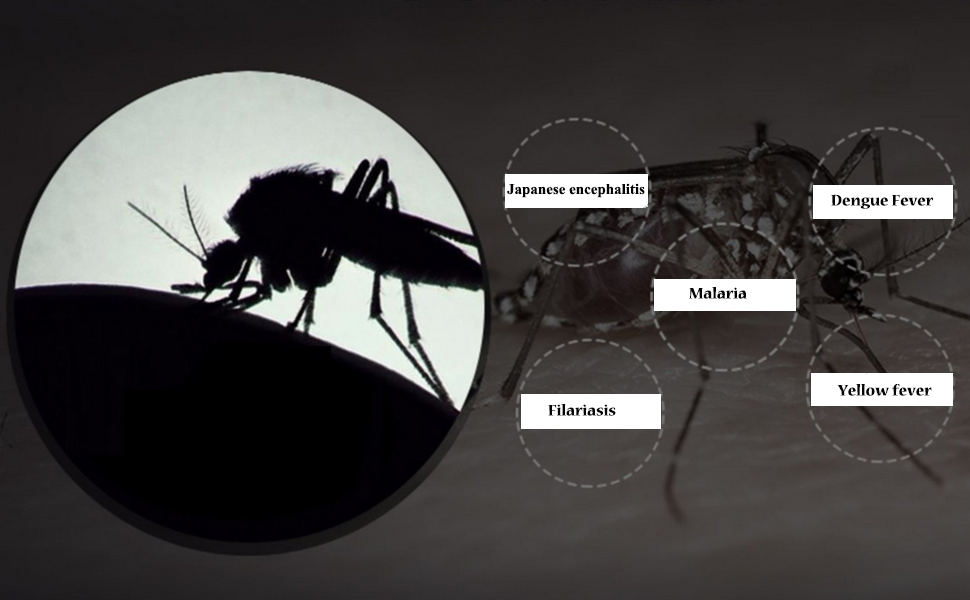 electric fly swatter racket