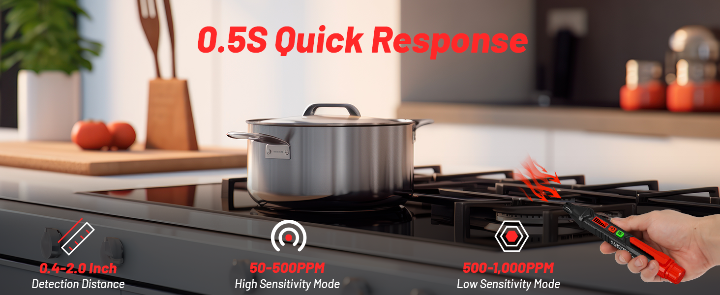 Natural Gas Leak Detector