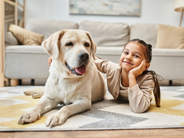 large dog pads xxl dog pads doggy pee pads dog potty pads pet training pads wewe pads dog dog pee