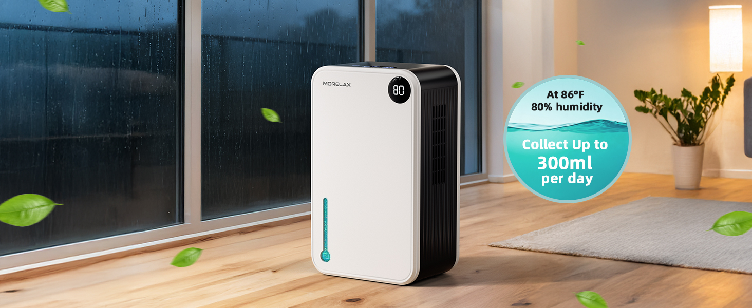 home Dehumidifier