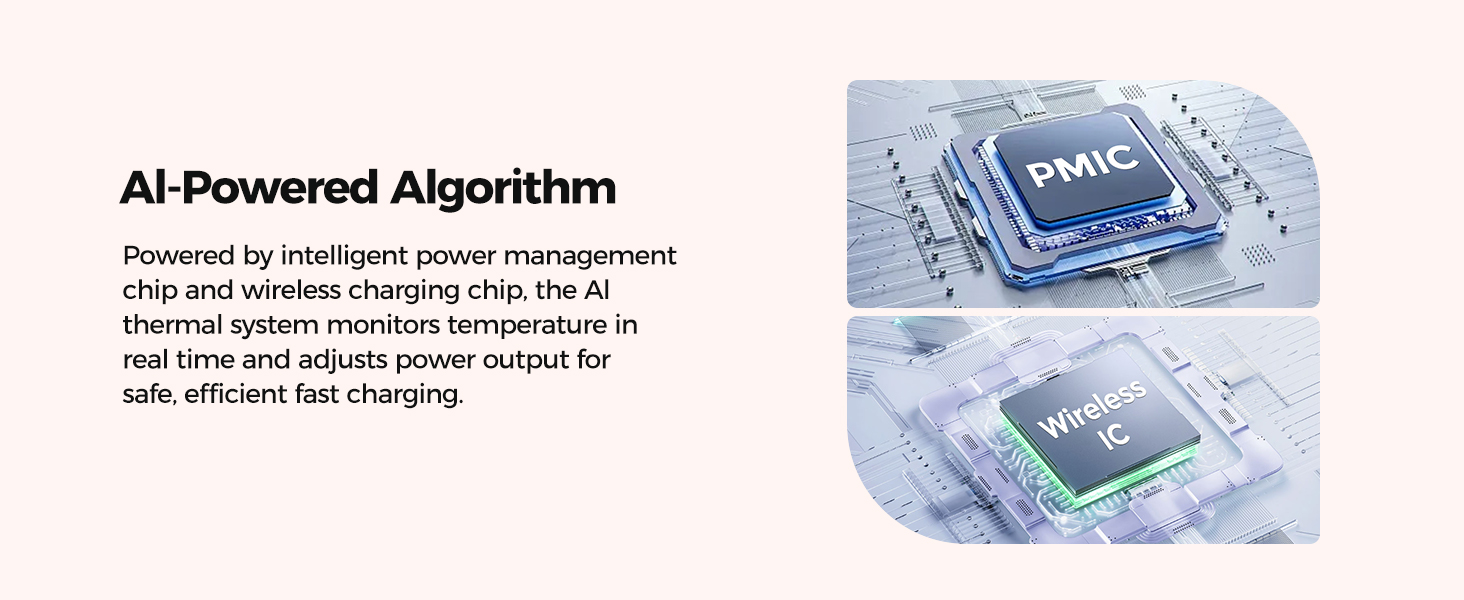 Advanced Dual-Chip