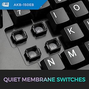 Membrane Key Switch