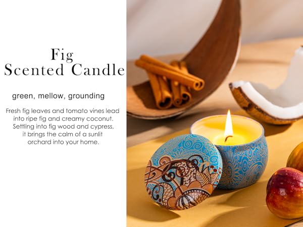 Candles for Home Scented Aromatherapy Candles Gifts Set for Women
