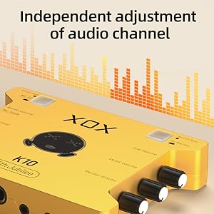 independent adjustment of audio channel