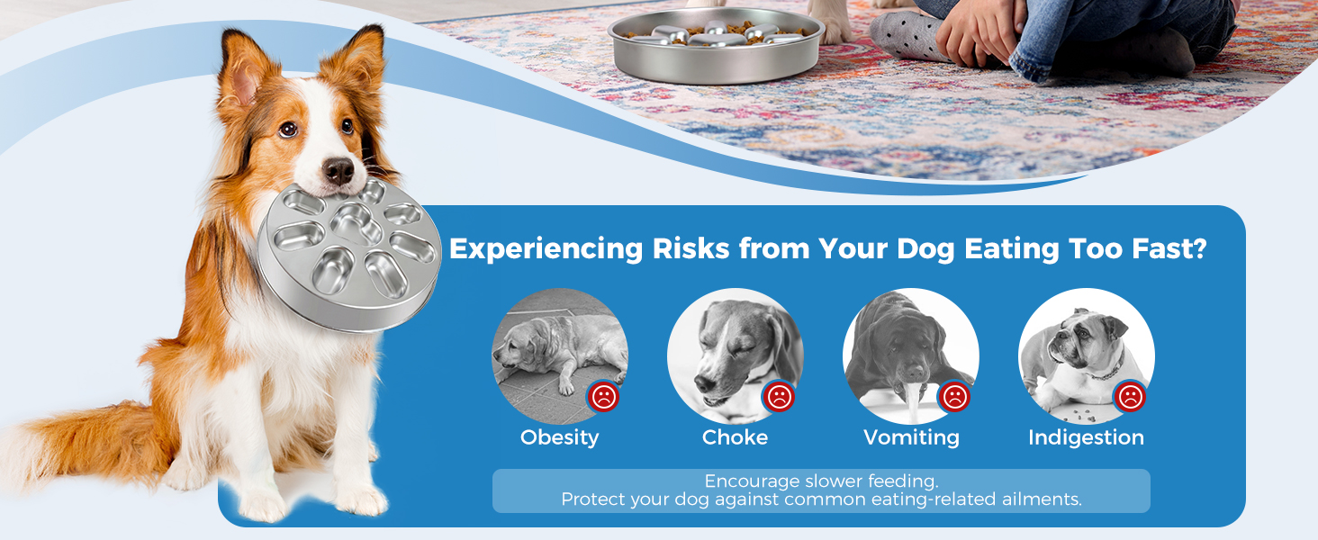 slow feeder dog bowls