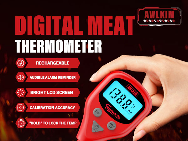 meat thermometer digital