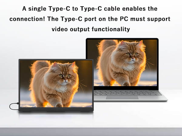 10.5&amp;#39;&amp;#39; 1920x1280