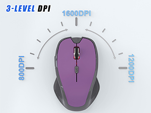 Adjustable 3-Level DPI