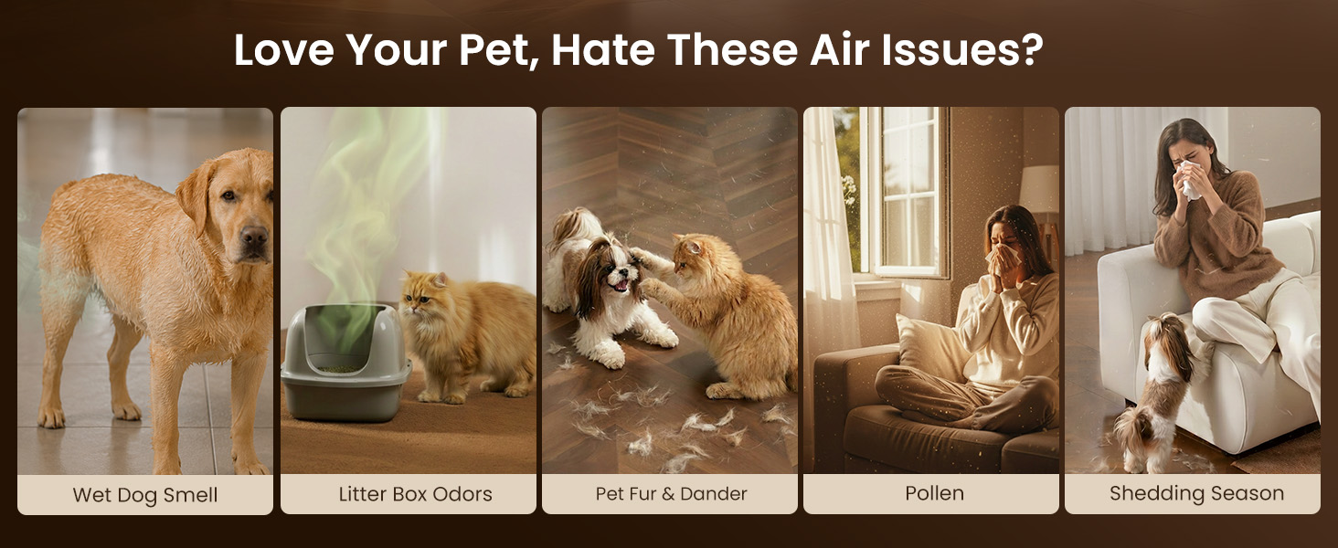 air purifiers for large rooms large room air purifiers for home large room air purifier