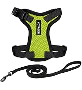 Voyager Escape-Proof Step-in Lock Cat Harness &amp; 5ft Neoprene-Handle Leash Set All-Weather Mesh wi...
