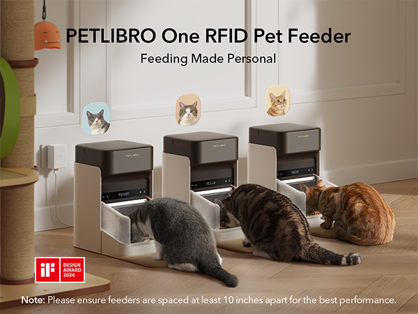 automatic cat feeder