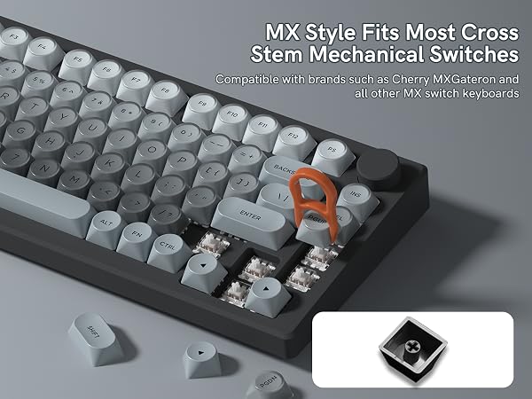 Compatible with brands such as Cherry MX, Gateron and all other MX switch keyboards.