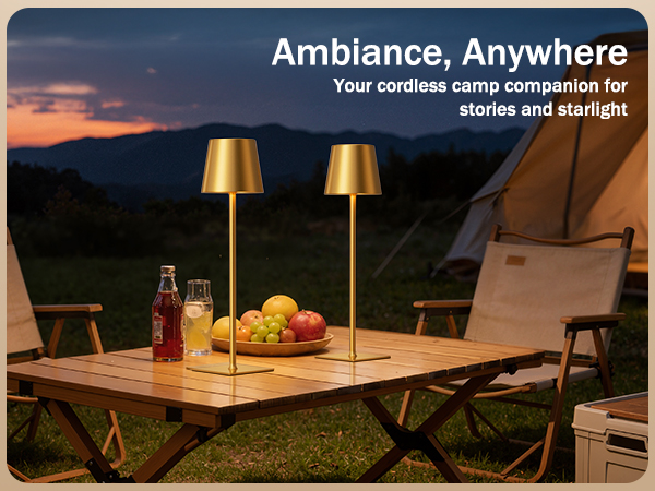 gold rechargeable table lamp